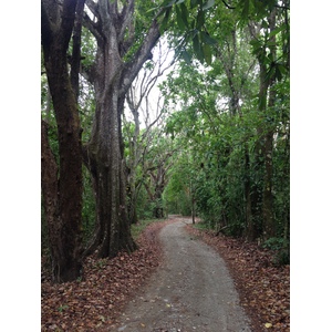 Photo Costa Rica Montezuma 2015-03 303