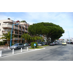 Photo France La Napoule Port La Napoule 2008-03 25