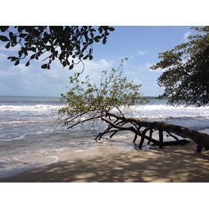 Photo Costa Rica 2015-03 40