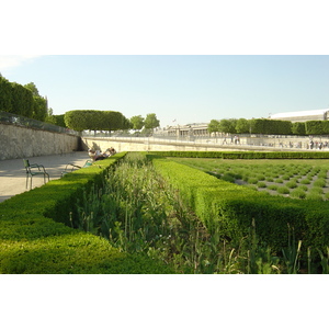 Photo France Paris Jardin des Tuileries 2007-05 250