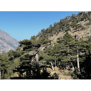 Photo France Corse Monte Cinto 2023-10 69