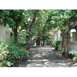 Photo Thaïlande Chiang Mai Centre(intra Canal) Rue Rad Cha Dom Nurn (Rue piétonne) 2006-04 24