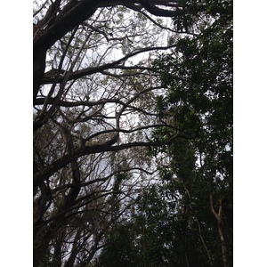 Photo Costa Rica Montezuma 2015-03 389