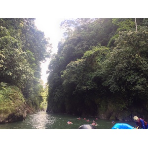 Photo Costa Rica Rivière Pacuare 2015-03 233