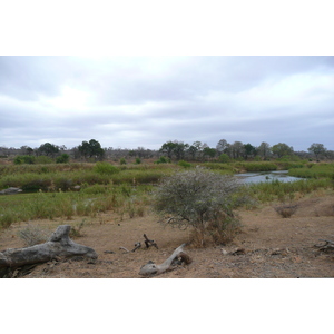 Photo Afrique du Sud Parc National Kruger Rivière Sable 2008-09 23