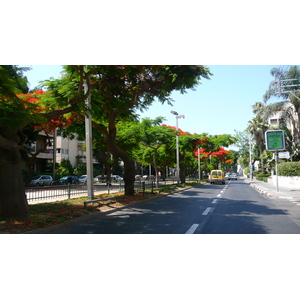 Photo Israel Tel Aviv Rue Rothschild 2007-06 22
