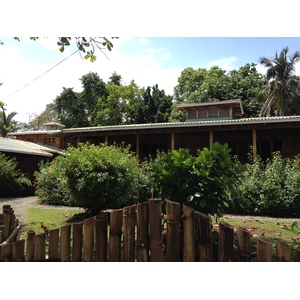 Photo Costa Rica Cahuita 2015-03 181