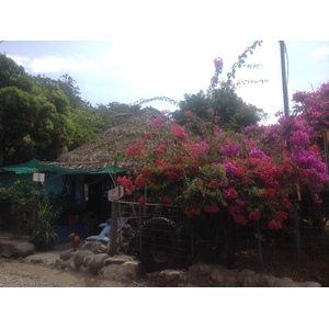 Photo Costa Rica Montezuma 2015-03 258