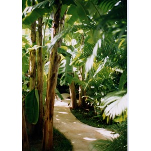 Photo Cambodge Phnom Penh 1996-06 7