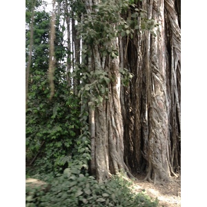 Photo Costa Rica Montezuma 2015-03 305
