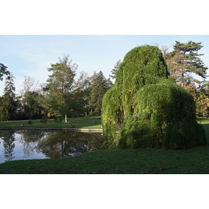 Photo France Paris Bagatelles 2016-10 24
