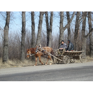 Photo Kazakhstan Route d'Almaty au canyon de Charyn 2007-03 40