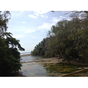 Photo Costa Rica Montezuma 2015-03 218