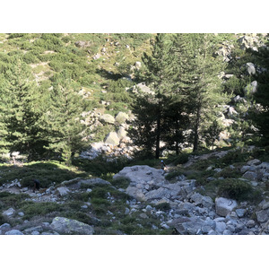 Photo France Corse La Restonica 2020-07 92