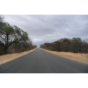 Photo Afrique du Sud Parc National Kruger Rivière Sable 2008-09 82