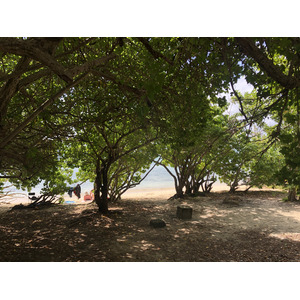 Photo Guadeloupe Saint François 2021-02 24