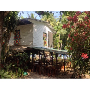 Photo Costa Rica Montezuma 2015-03 436