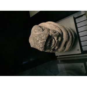 Photo France Paris Musée Quai Branly 2015-09 56