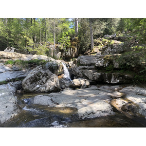 Photo France Corse Forêt d'Aïtone 2021-06 39
