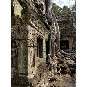 Photo Cambodge Siem Reap Ta Prohm 2023-01 142