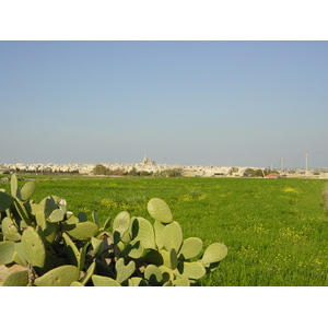 Photo Malte Environs de Mdina 2003-03 8
