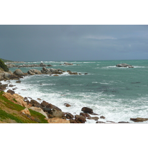 Photo Afrique du Sud Cap de Bonne Espérance 2008-09 39