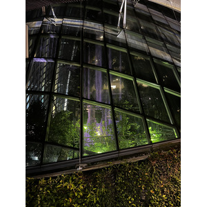 Photo Singapour Garden by the bay 2023-01 56