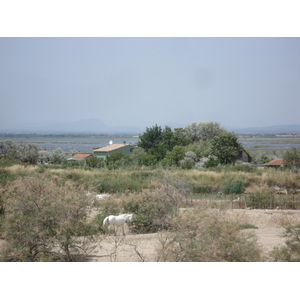 Photo France Camargue 2006-06 6
