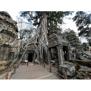 Photo Cambodge Siem Reap Ta Prohm 2023-01 155
