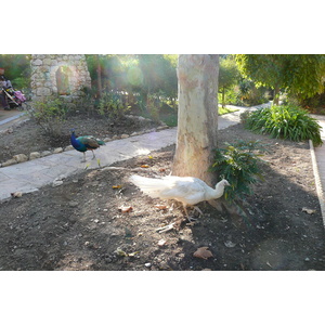 Photo France Nice Parc Phoenix 2007-10 118