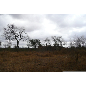 Photo Afrique du Sud Parc National Kruger route de la rivière Crocodile 2008-09 16