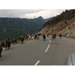Photo France Corse Vallée d'Alesani 2017-07 12
