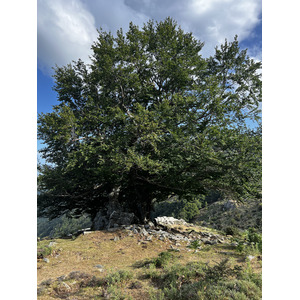 Photo France Corse Refuge de Callerucciu 2022-06 5