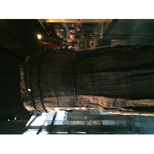 Photo France Paris Musée Quai Branly 2015-09 2