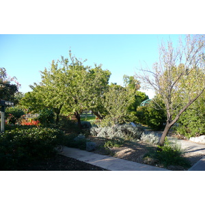 Photo France Nice Parc Phoenix 2007-10 117