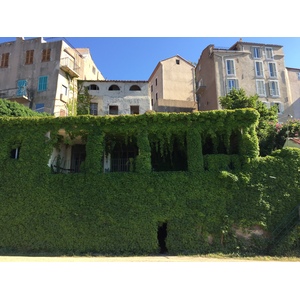 Photo France Corse Calvi 2015-05 42
