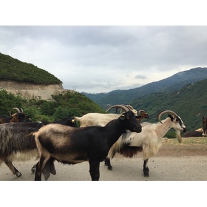 Photo France Corse Vallée d'Alesani 2017-07 7