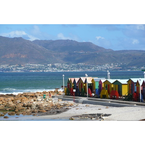 Photo Afrique du Sud Cap de Bonne Espérance 2008-09 35