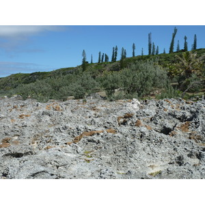 Photo Nouvelle-Calédonie Lifou Falaises de Xodre 2010-05 27
