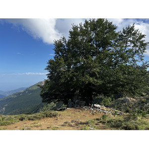 Photo France Corse Refuge de Callerucciu 2022-06 9