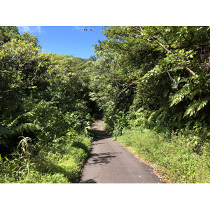 Photo Guadeloupe La Grande Soufrière 2021-02 55