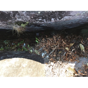 Photo Thaïlande Parc National Phu Hin Rong Kla 2014-12 434