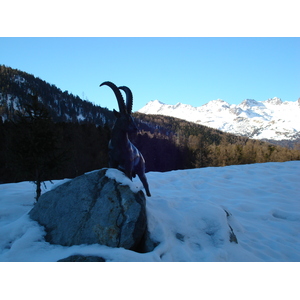 Photo Suisse Pontresina 2007-01 3