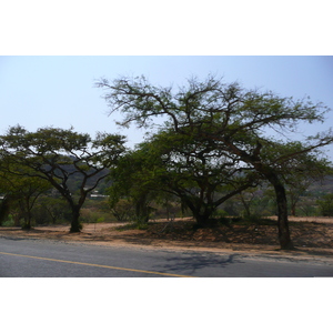 Photo Afrique du Sud Nelspruit 2008-09 44