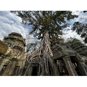 Photo Cambodge Siem Reap Ta Prohm 2023-01 59