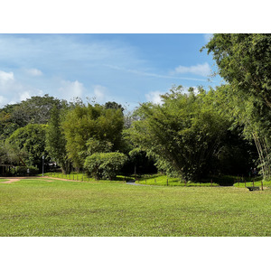 Photo Singapour Jardins botaniques de Singapore 2023-01 2