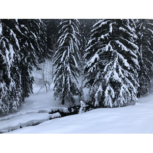 Photo France La Clusaz 2017-12 220