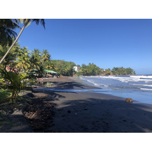 Photo Guadeloupe Bananier 2021-02 14