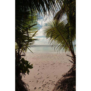 Photo Seychelles Anse Lazio 2011-10 34