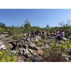 Photo Thaïlande Parc National Phu Hin Rong Kla 2014-12 330